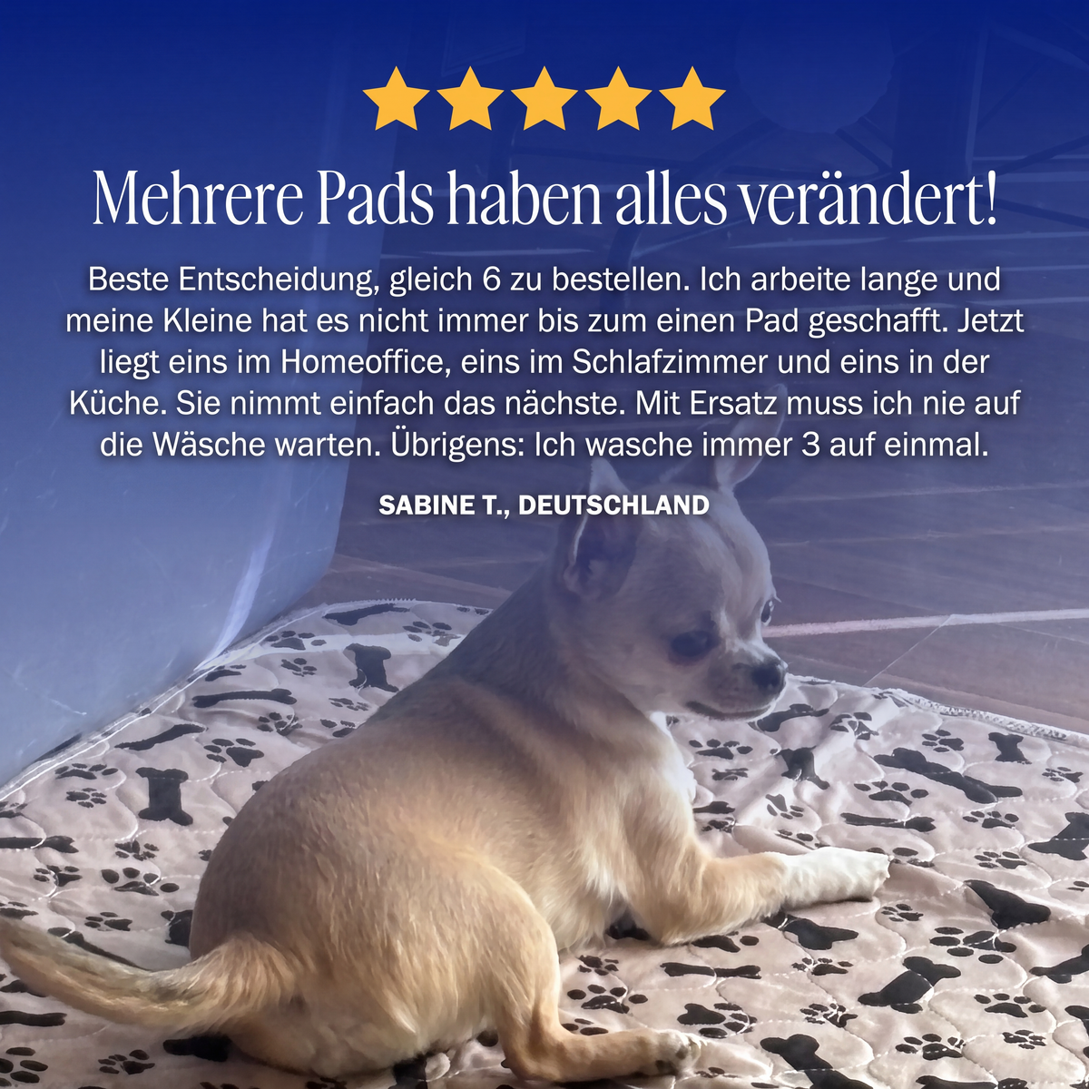 PfotenPad