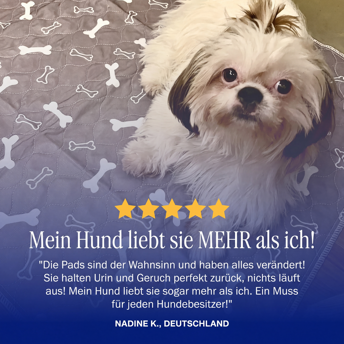 PfotenPad