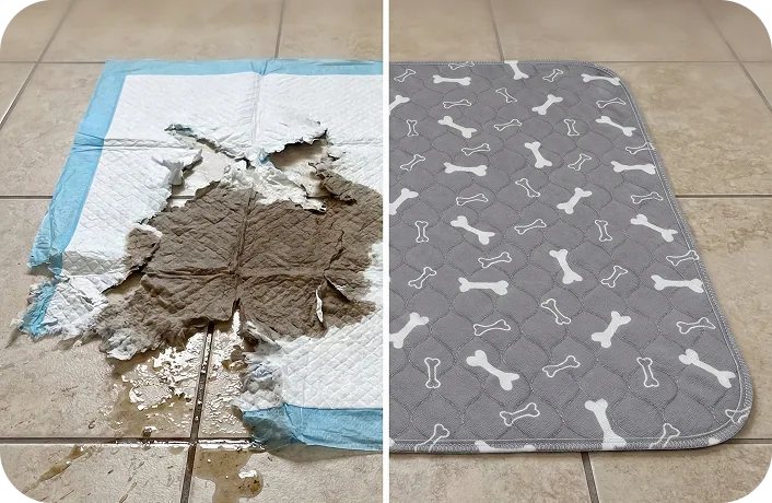 Zerfetztes Einwegpad neben intaktem Pfotenpad